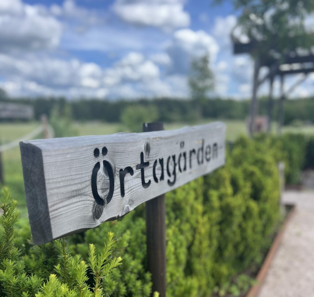 Dagskonferens i naturnära miljö