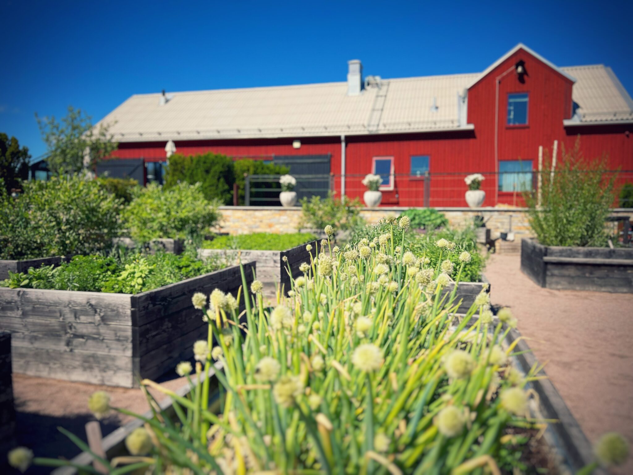 Konferens i KAIJA s trädgård i Uppsala